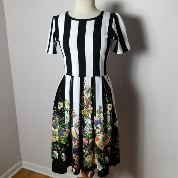 LuLaRoe Dresses & Skirts - RARE HTF Lularoe Striped Bird Dipped Amelia Dress